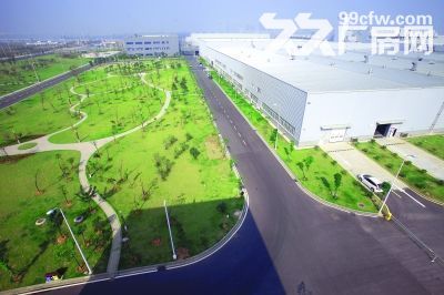 武汉吴家山九通路42亩工业地1.6万方钢构厂房仓库整体租售 - 2