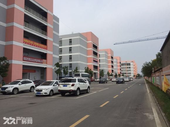 阜阳青网科技园90-3600平厂房 - 2