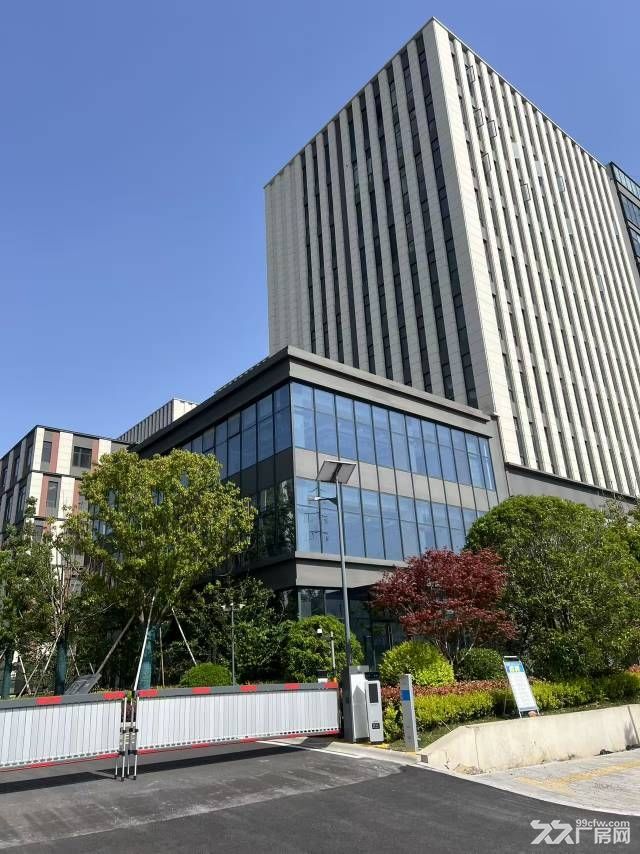 全新3字头园区产权厂房出售手慢无 - 4