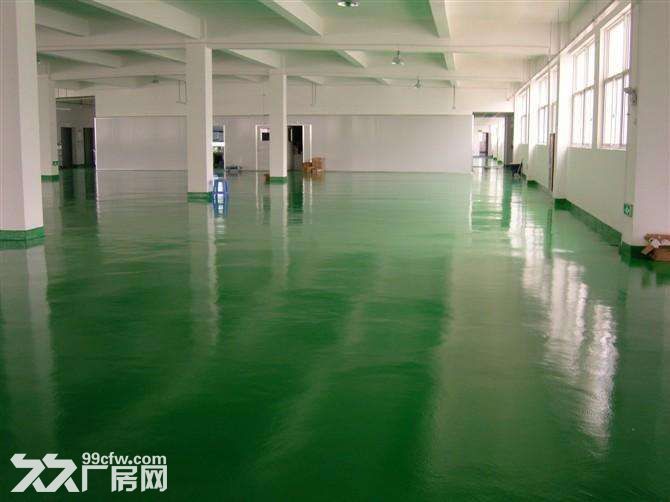 7.水阁路.1到3楼5400平米.独立一栋.新建厂房.位置好.环境好 - 5