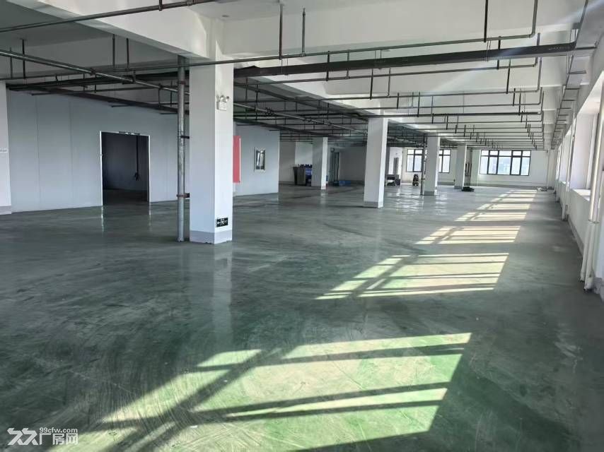 新站区标准厂房独门独院920平可分租 - 3