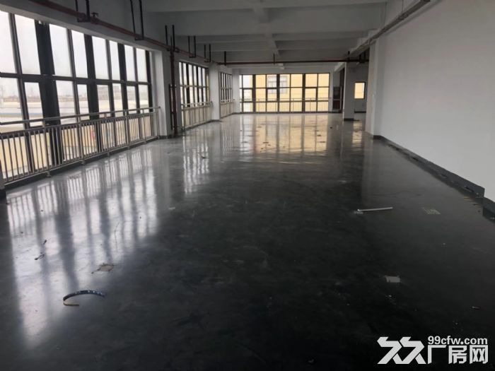 金汇业主直租2500平大小好分割形象高大上有环评