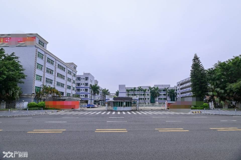 寮步靠石大路新出原房国有双证超大空地标准独院 - 3