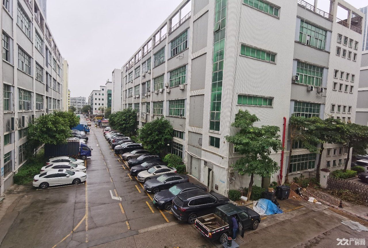 深圳龙华商业中心旁边一楼840平米一楼全新地坪漆厂房出租 - 3