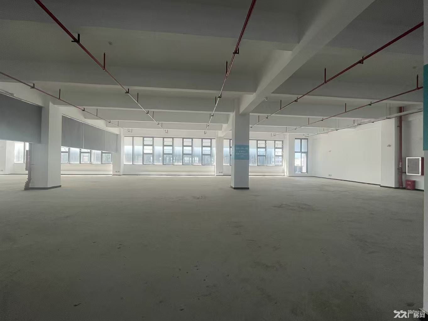 南屏科技园~100~7000㎡一楼至5楼都有 - 3