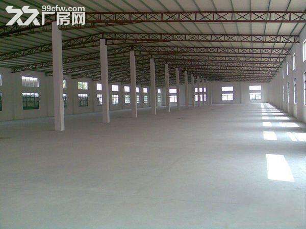 3.湖熟工业园.一楼4800平米.独栋高9米,框架结构厂房.仓库出租 - 7