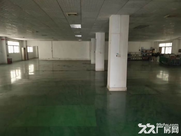 新出超靓独院厂房7800平米 - 4