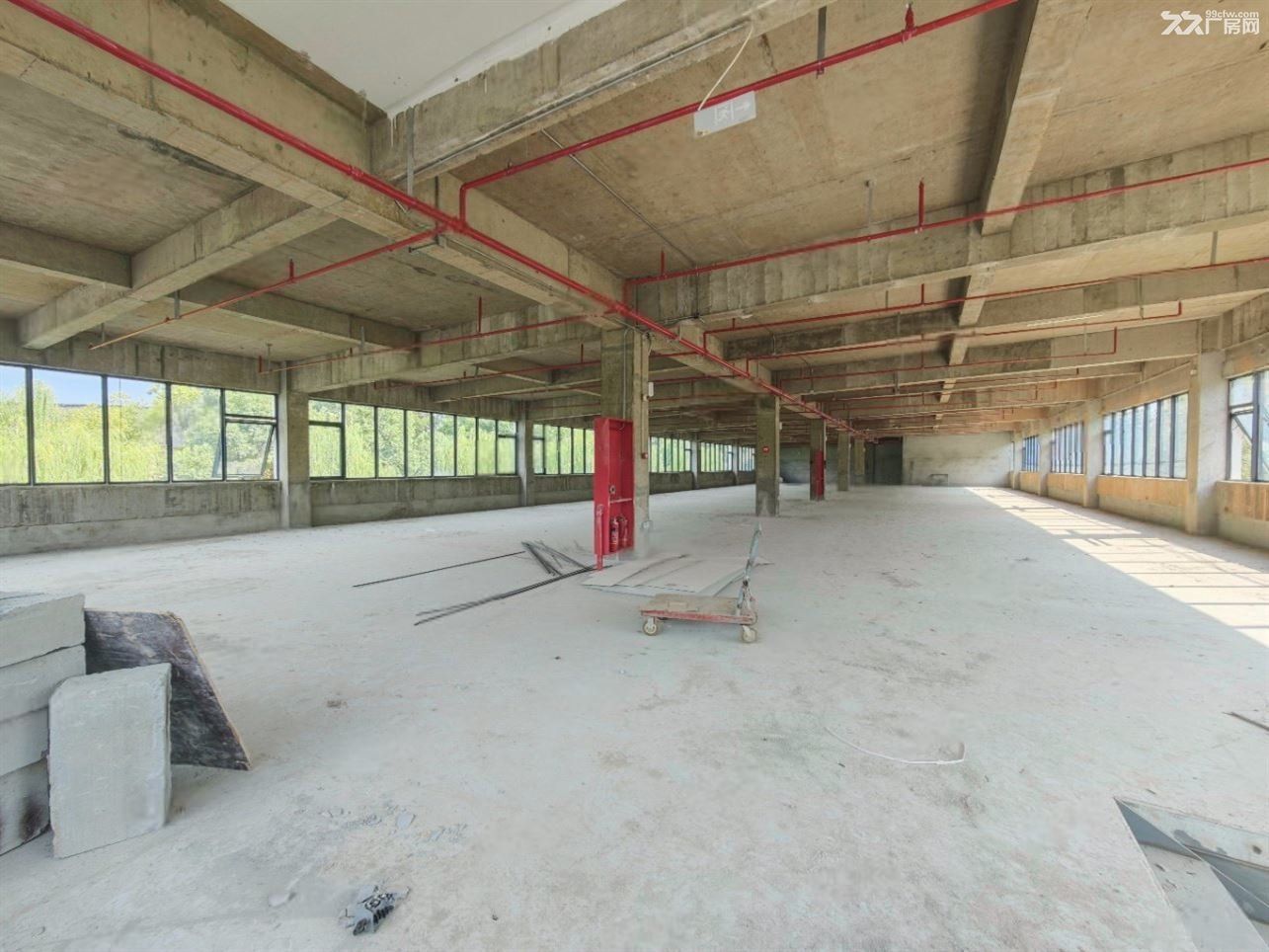 无:江桥万达新出独门独院展厅1500平,超大场地展示面,形象好! - 5