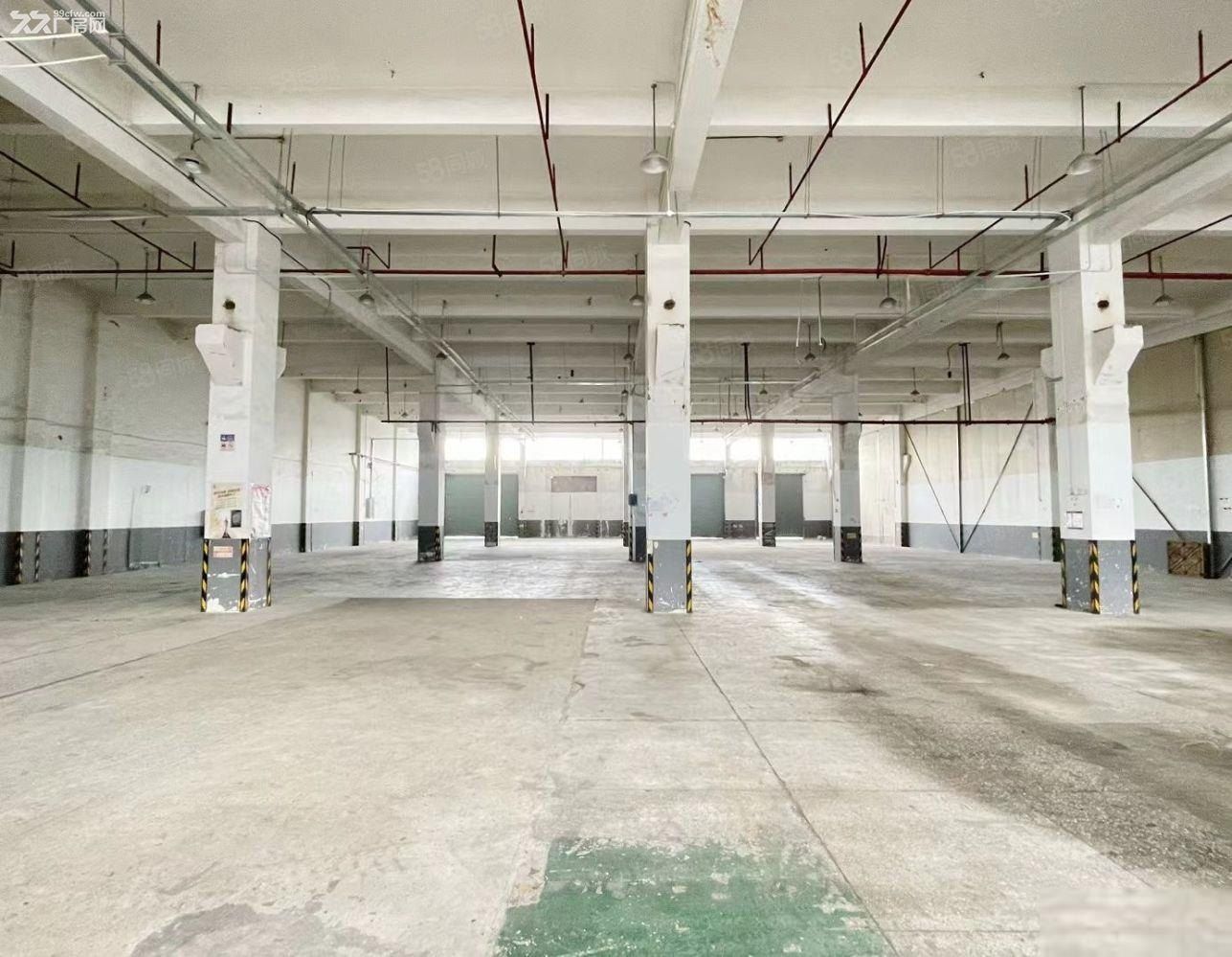 康桥秀沿路独门独院1万平米多层厂房出租,可分割加工,汽修仓储