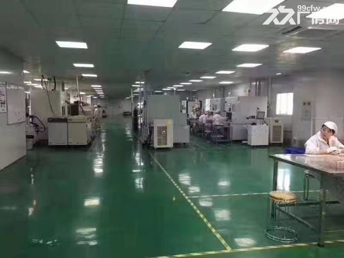 台山水步工业区3000平方电子厂出租 - 3