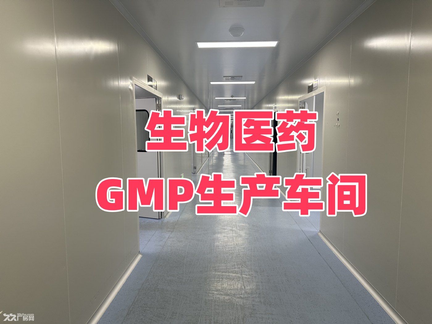 PCR生物医药GMP生产车间出租