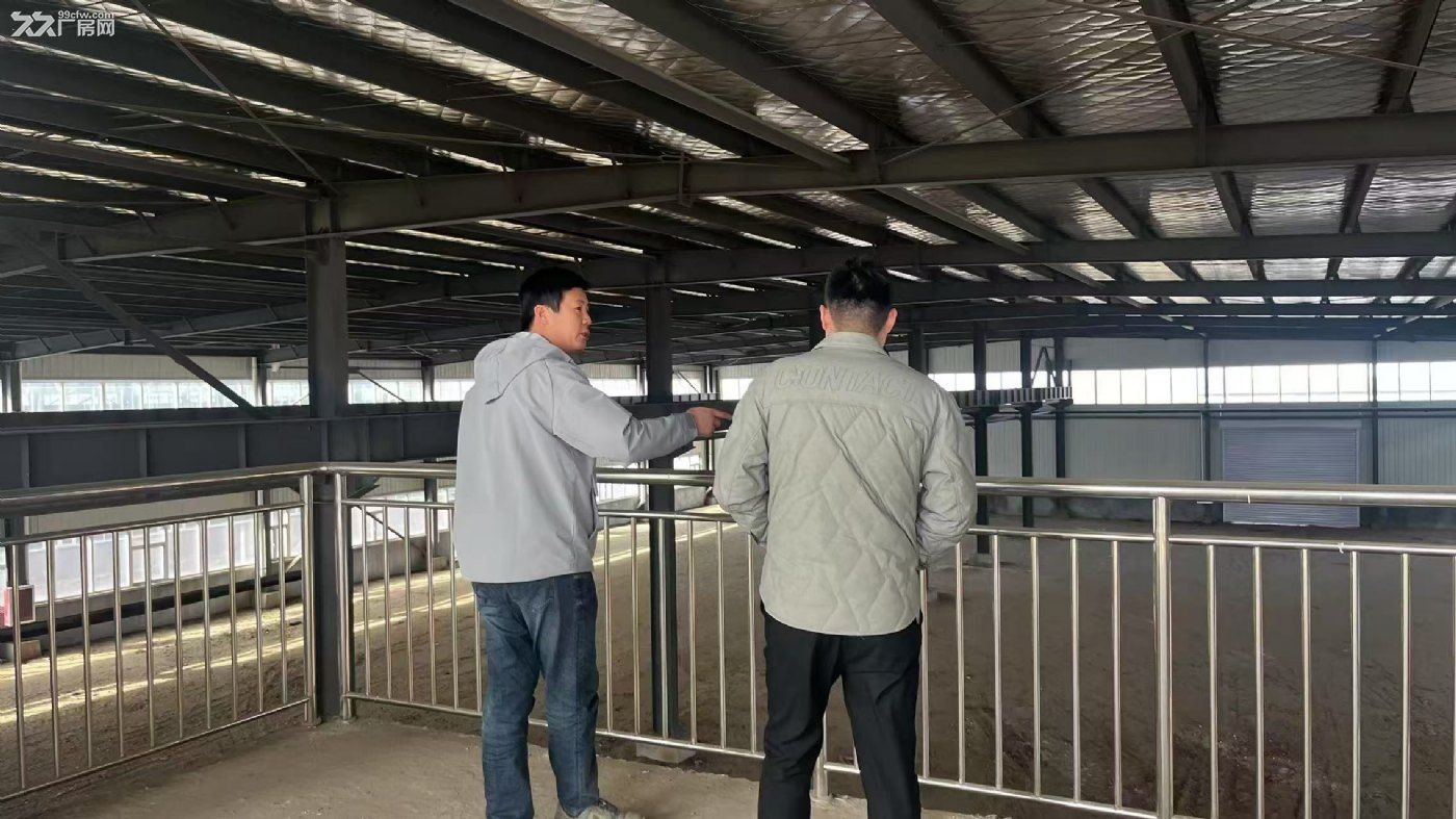 潍坊园区新建单厂房出售证件齐全 有院子 交通方便 - 3