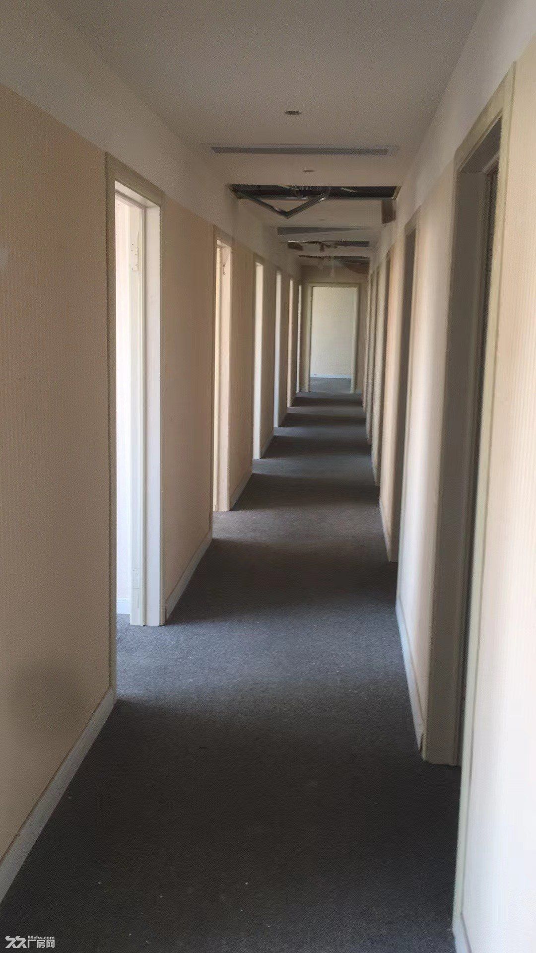 340方精装带多个直播隔断办公室出租 - 4