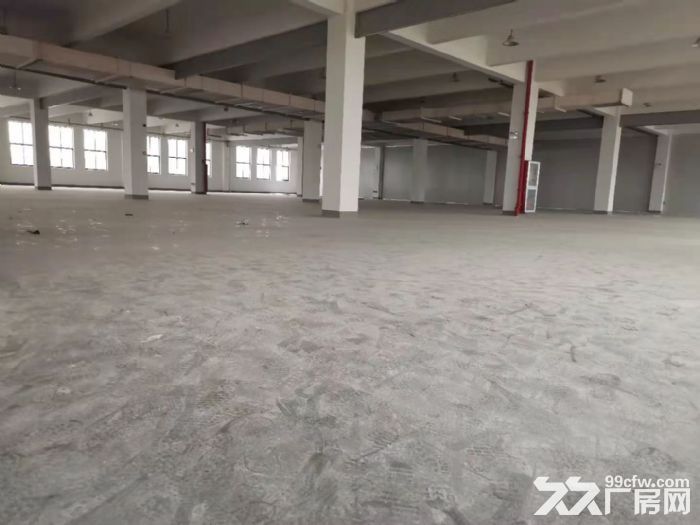 嘉兴高照街道离水果市场近的仓库出租2000平米 - 5