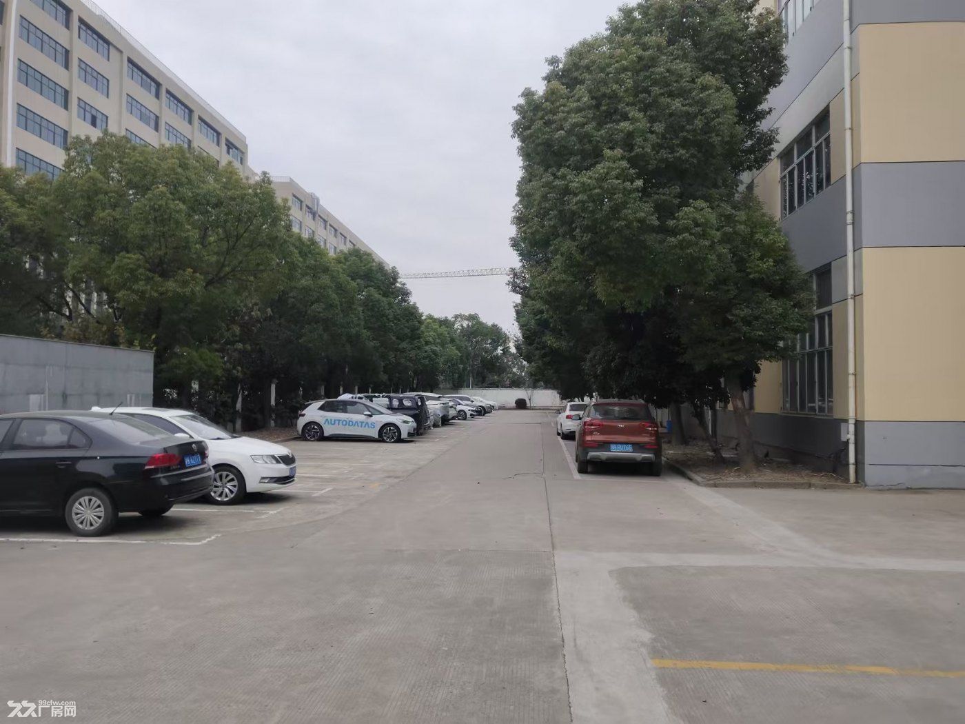一手业主直租，食品园区，1300平起租，有货梯，园区24小时有专业安保团队管理 - 4