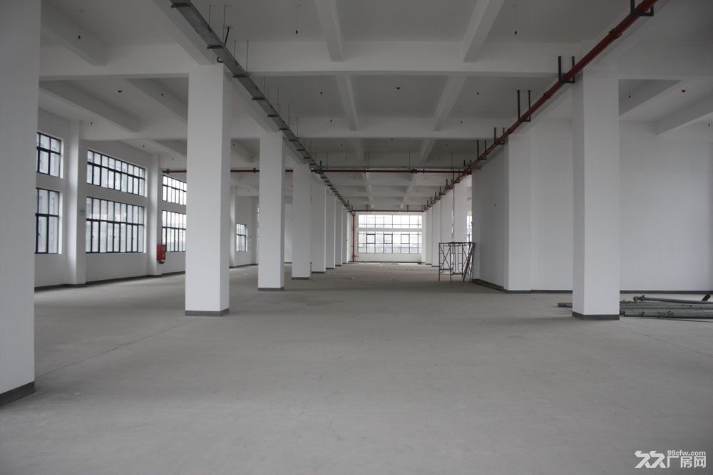 金桥独栋3千4千5千平，层高6至5米，研发厂房办公出租，可环评，高配电 - 2