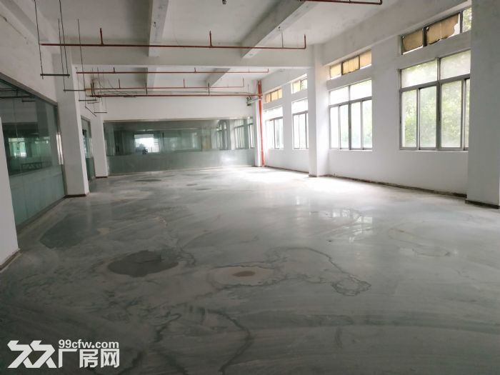 石岩黄峰林工业区创新园 独独院60000平 一手使用率 直租 - 2