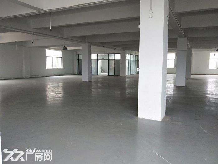 龙岗龙东工业区,标准厂房1200平,低价出租,空地超大,停车位充足 - 3