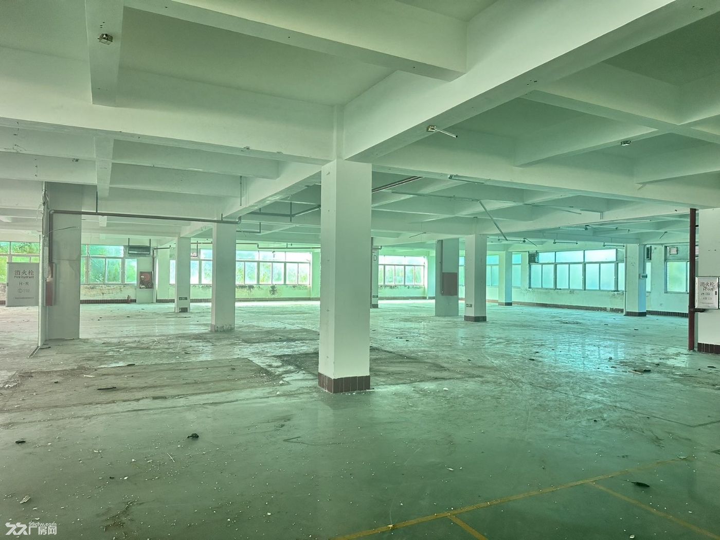 黄埔区云埔工业区12元厂房出租 - 8