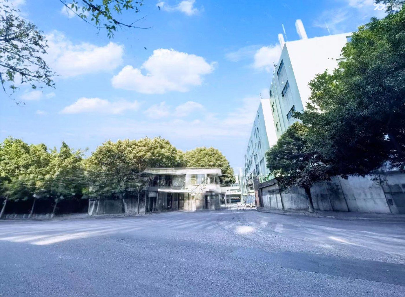 独院标准厂房3950平,可分租,层高7米,带员工宿舍 - 2