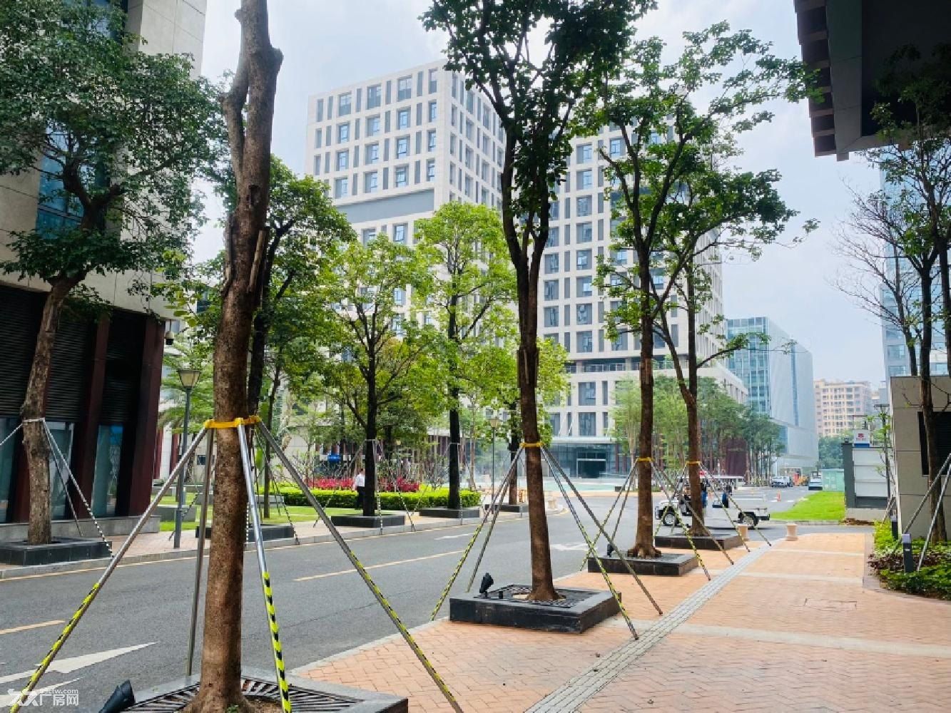 深圳光明央企园区地铁口厂房免租5个月补贴20元每平方 - 4