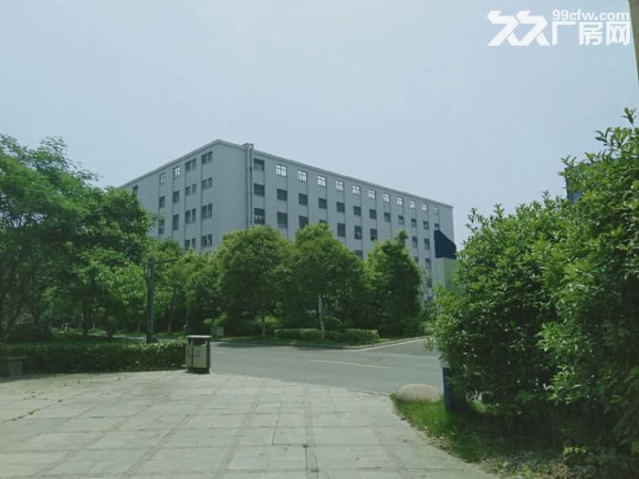 科技园厂房出售性价比高个人非中介 - 4