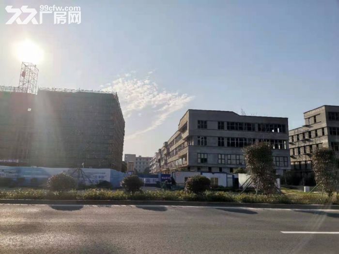 稀缺厂房邻上海厂房出售2124平标准厂房可注可按揭 - 5