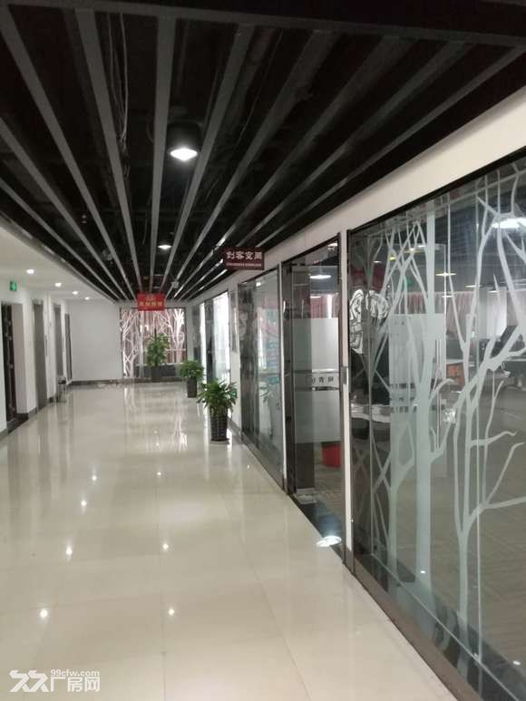 阜阳青网科技园厂房90-3600 - 5
