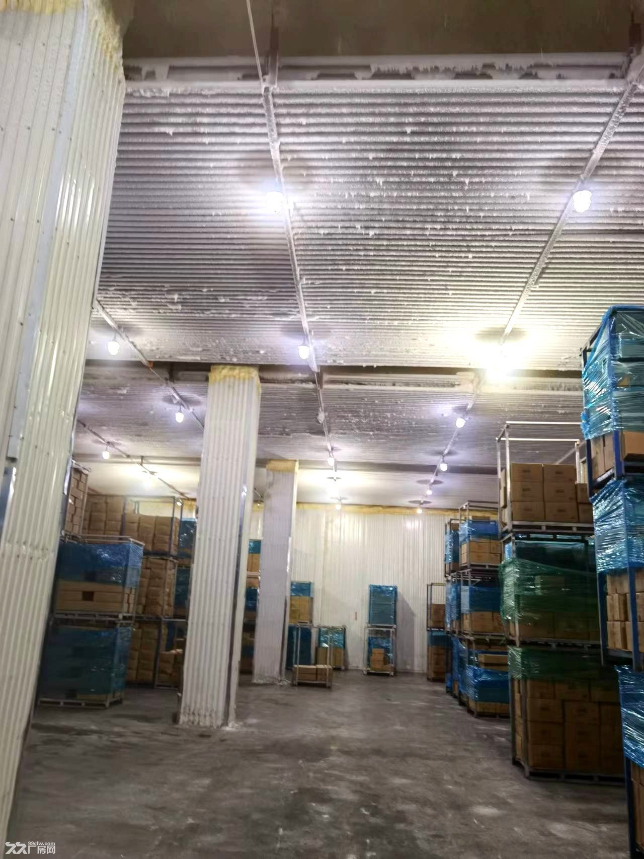 萧山南阳800方冷库出租(带月台) - 2