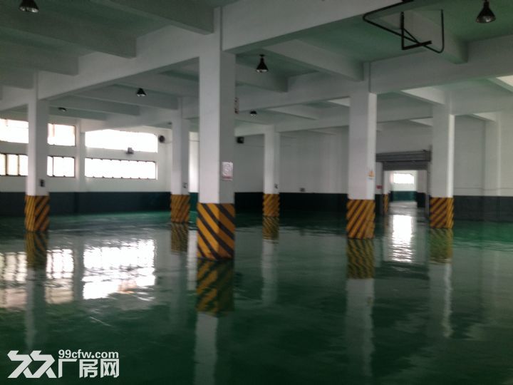 徐浦大桥附近10000平米标准仓库出租可分割 - 3