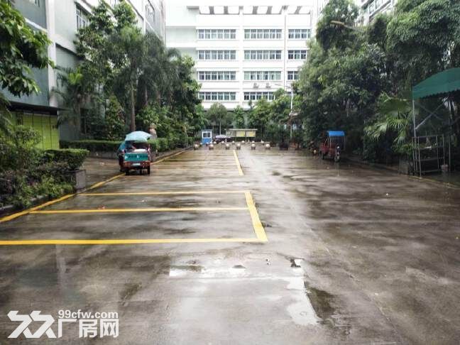 黄埔开发东区花园式厂房2400方招租,原房东,精装修,可办环评 - 2