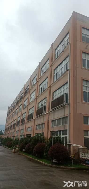 龙湾滨海车间2层1850平,办公楼3层500平,宿舍20间