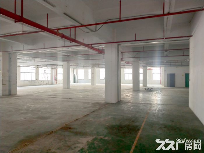 宝安公明上村1330平标准厂房招租!原房东低价出租 - 2