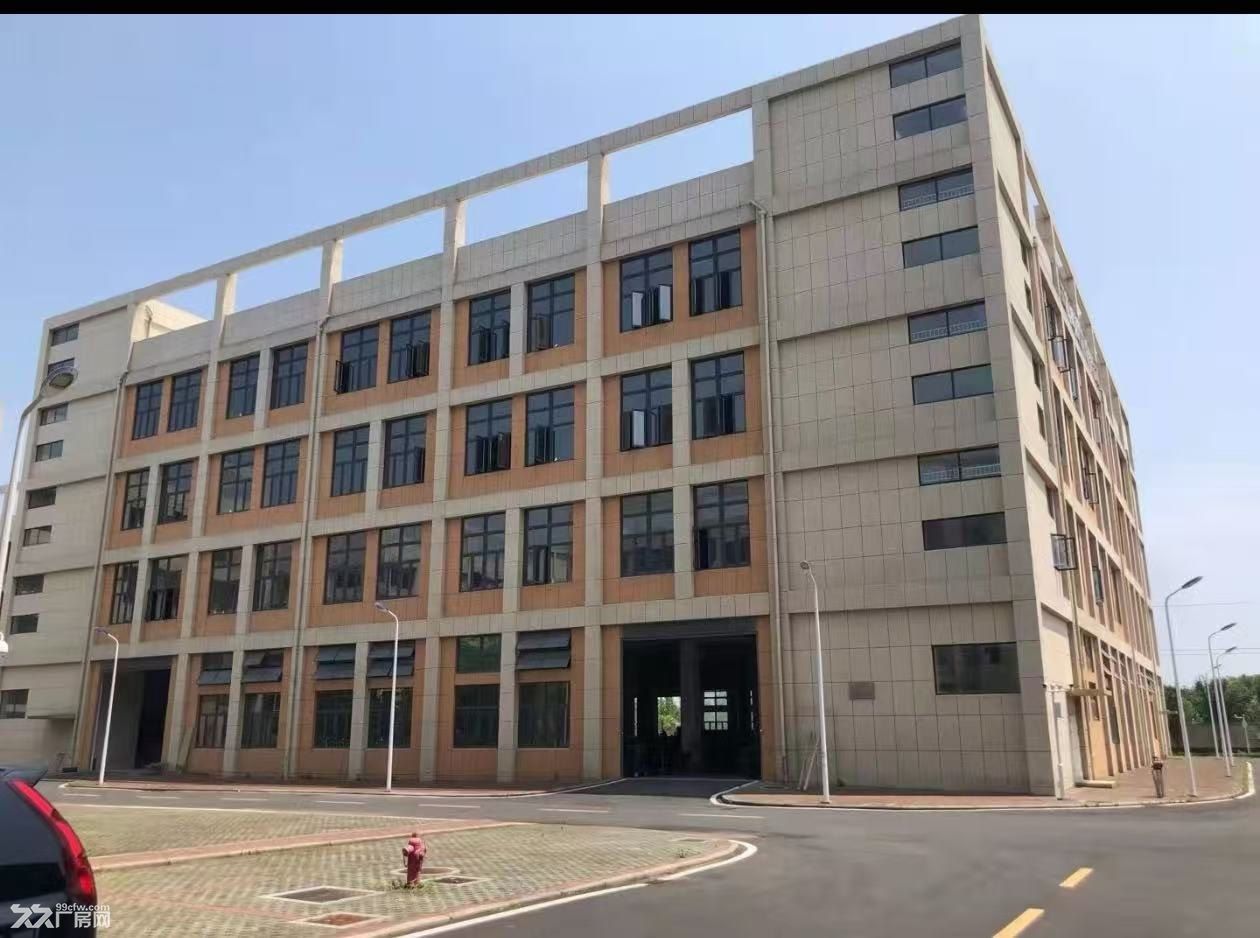 华中红木家具城附近框架厂房,层高7米,可分租整租 - 5