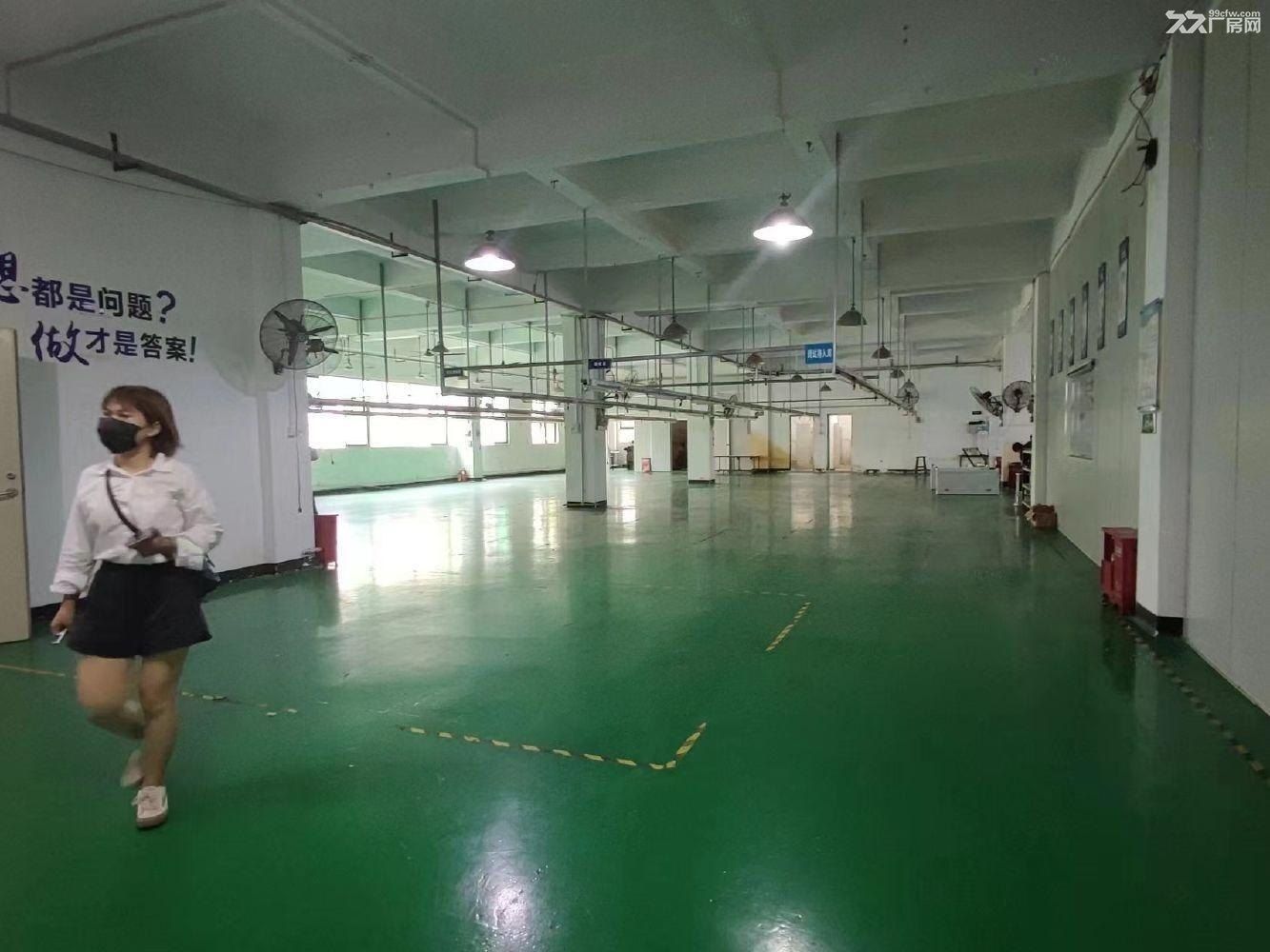 龙华原房东精装修1000平方办公室厂房超大空地租金含税低价租 - 4
