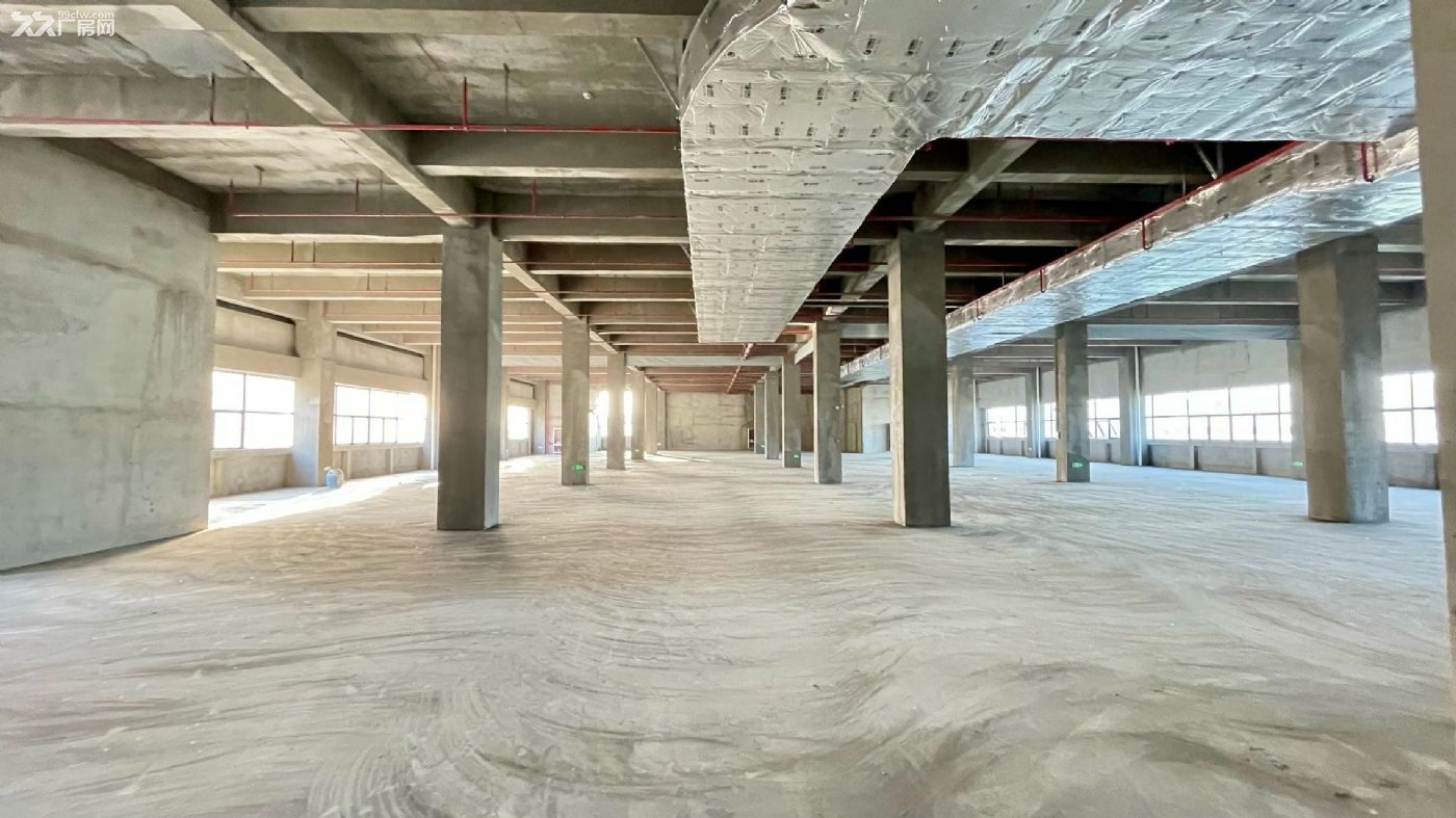 新建标准厂房出租 楼上承重1吨 层高6米 通蒸汽燃气 带排污 - 4
