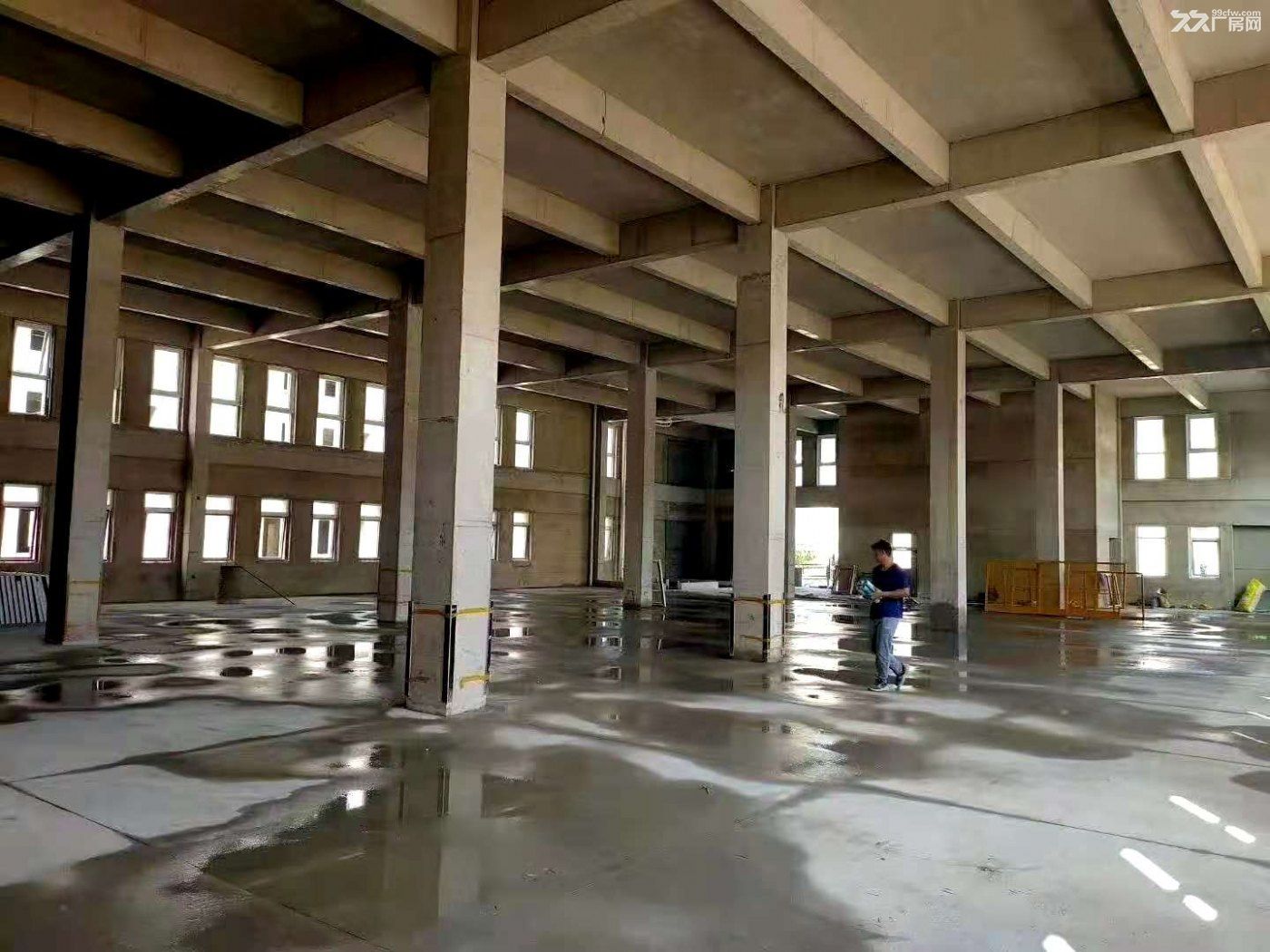 江北新区长芦街道南京稀缺两层厂房单价3800一平 - 5