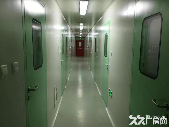 独家一手！医谷，标准医械研发生产洁净间，662平，看中可立定 - 5