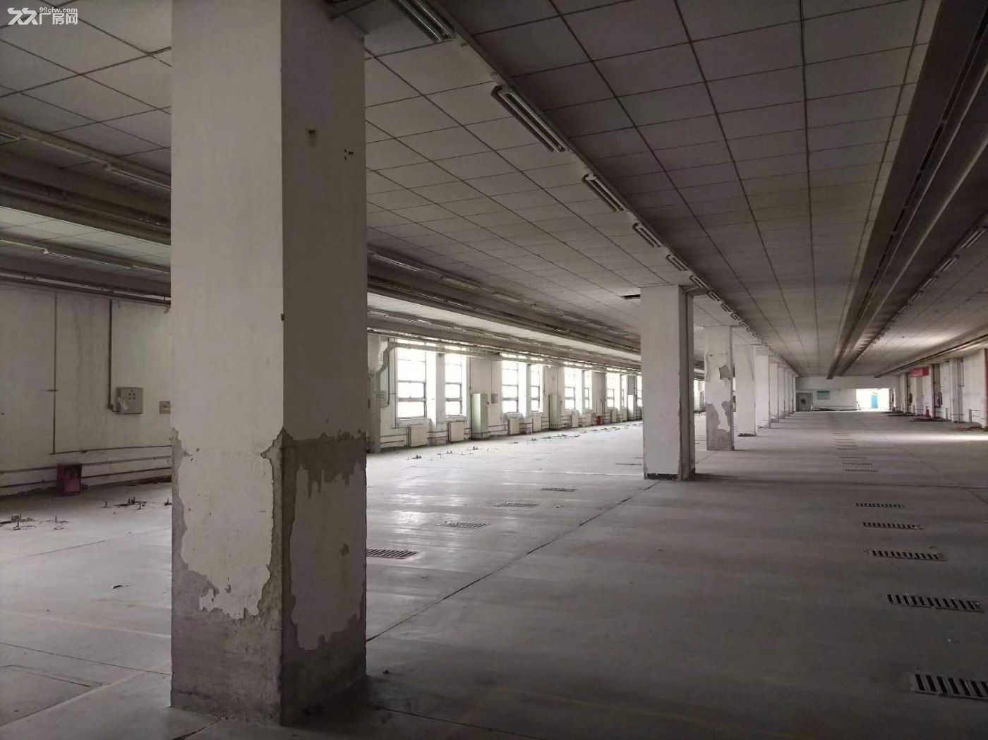 高新区临街厂房对外招租 - 2