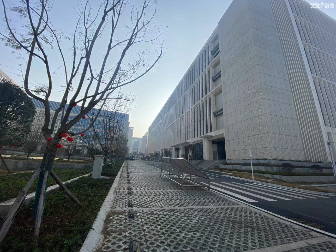 全新厂房出租,政策优惠力度大 - 5
