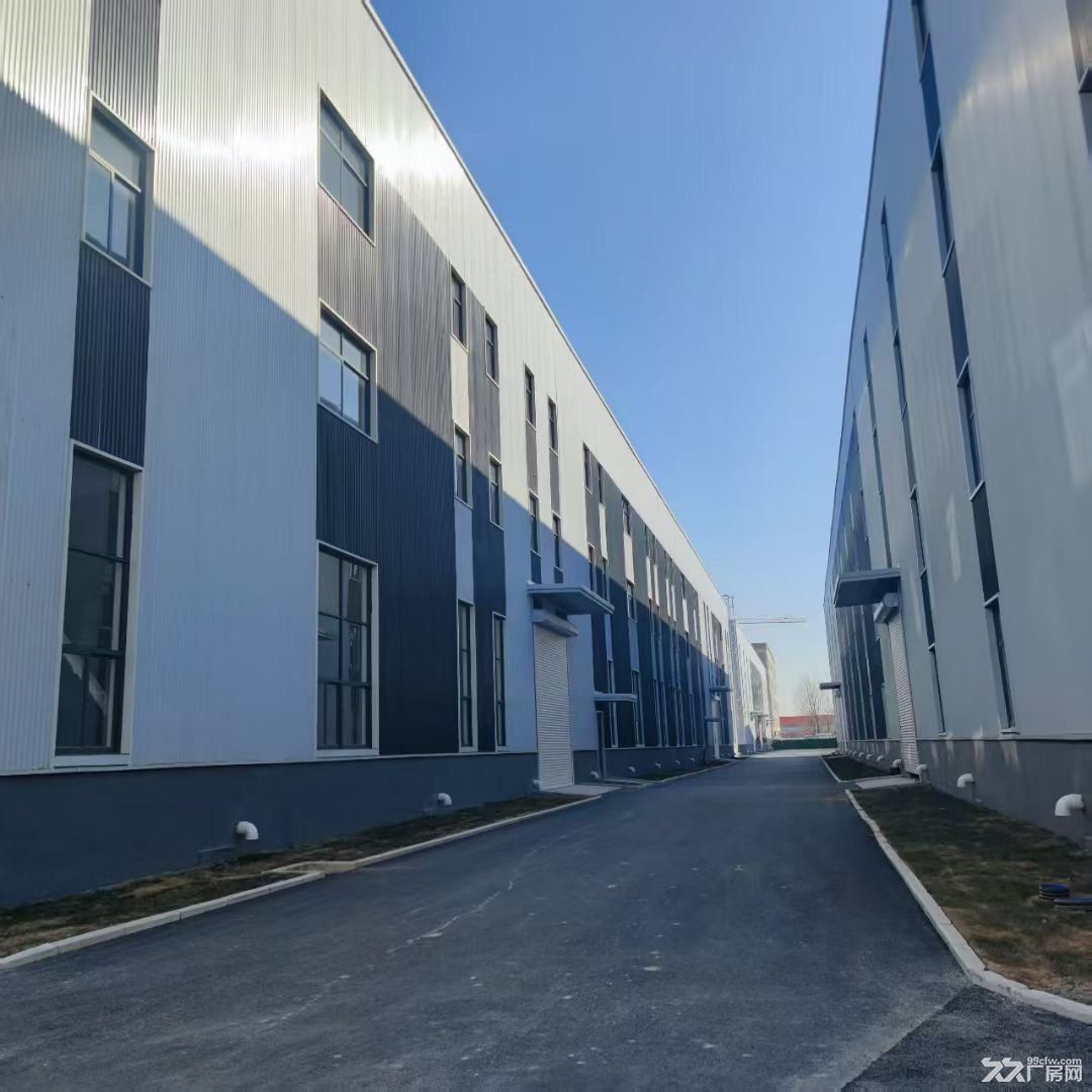 50年产权单一层 16米层高厂房 协办环评 - 2