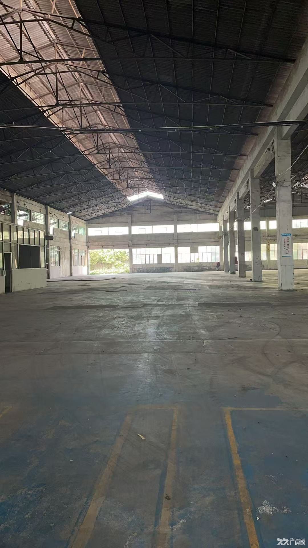 石狮市蚶江镇大平层厂房出租12000平方米可做厂房可做仓库 - 4