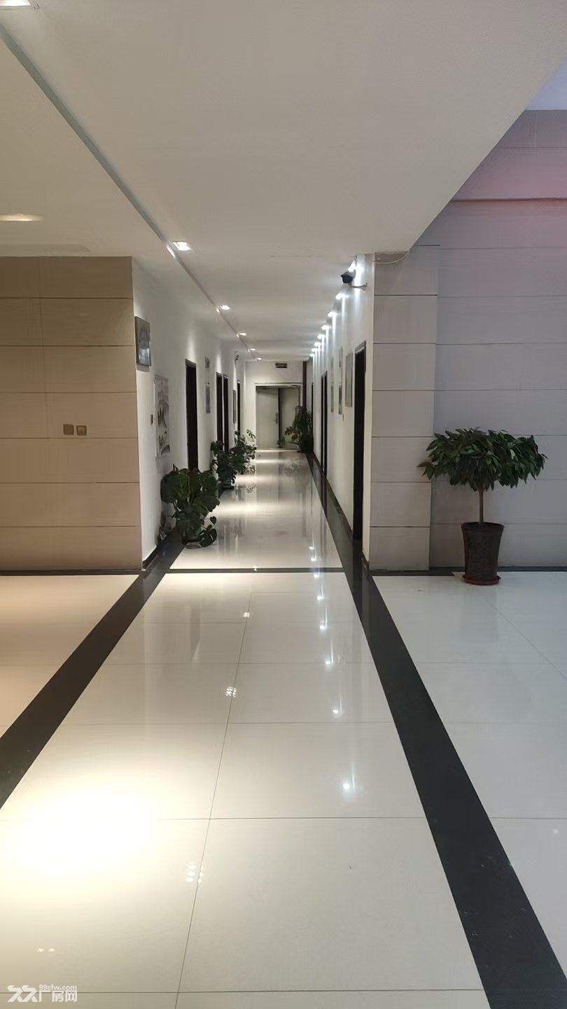 出租金山桥开发区泰隆商业街附近产业园区 - 6