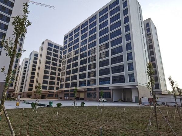 《惠》6元/平方马安原房东红本全新厂房火爆招租 - 3