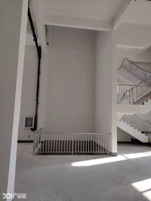 享浑南科技城政策单高标准厂房可租可售1400-5000㎡ - 3