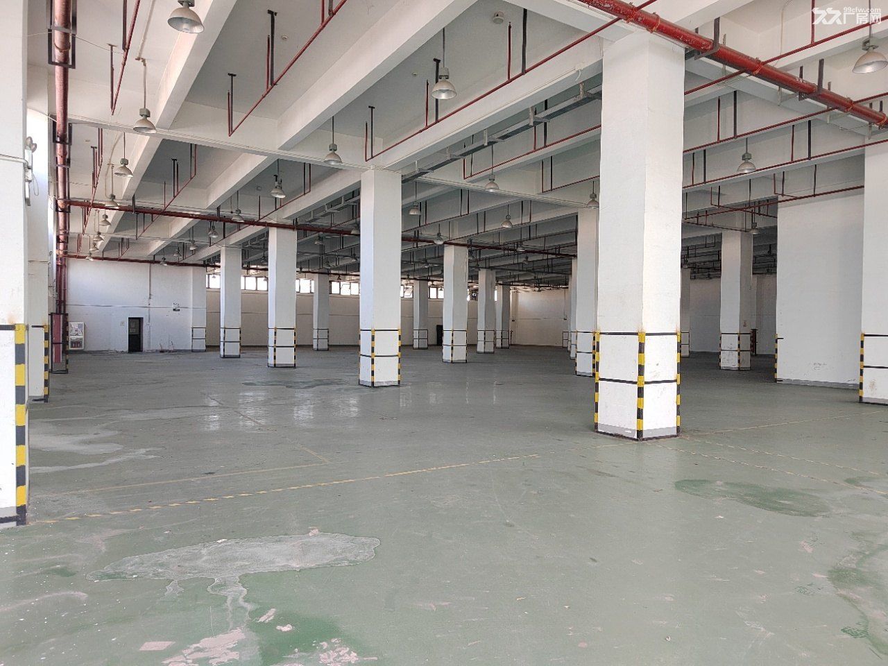 上海浦东机场自贸区｜施湾六路高标仓库 - 3