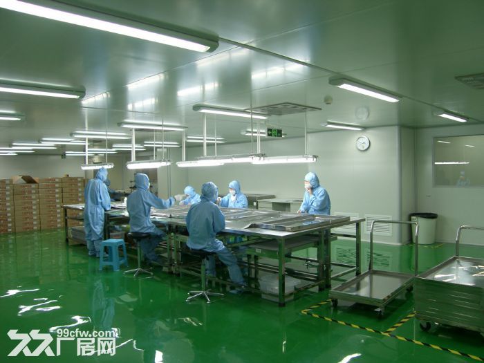 个人.二楼2800平米标准厂房出租.环氧地坪,有2部货梯. - 6