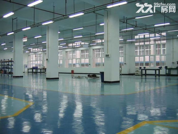 出租龙吴路工业厂房755平2000平可分租,生产,加工,仓库