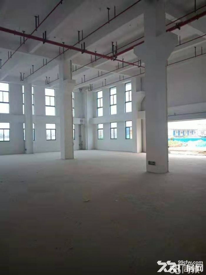 徐州市铜山区高标准厂房出租 - 3