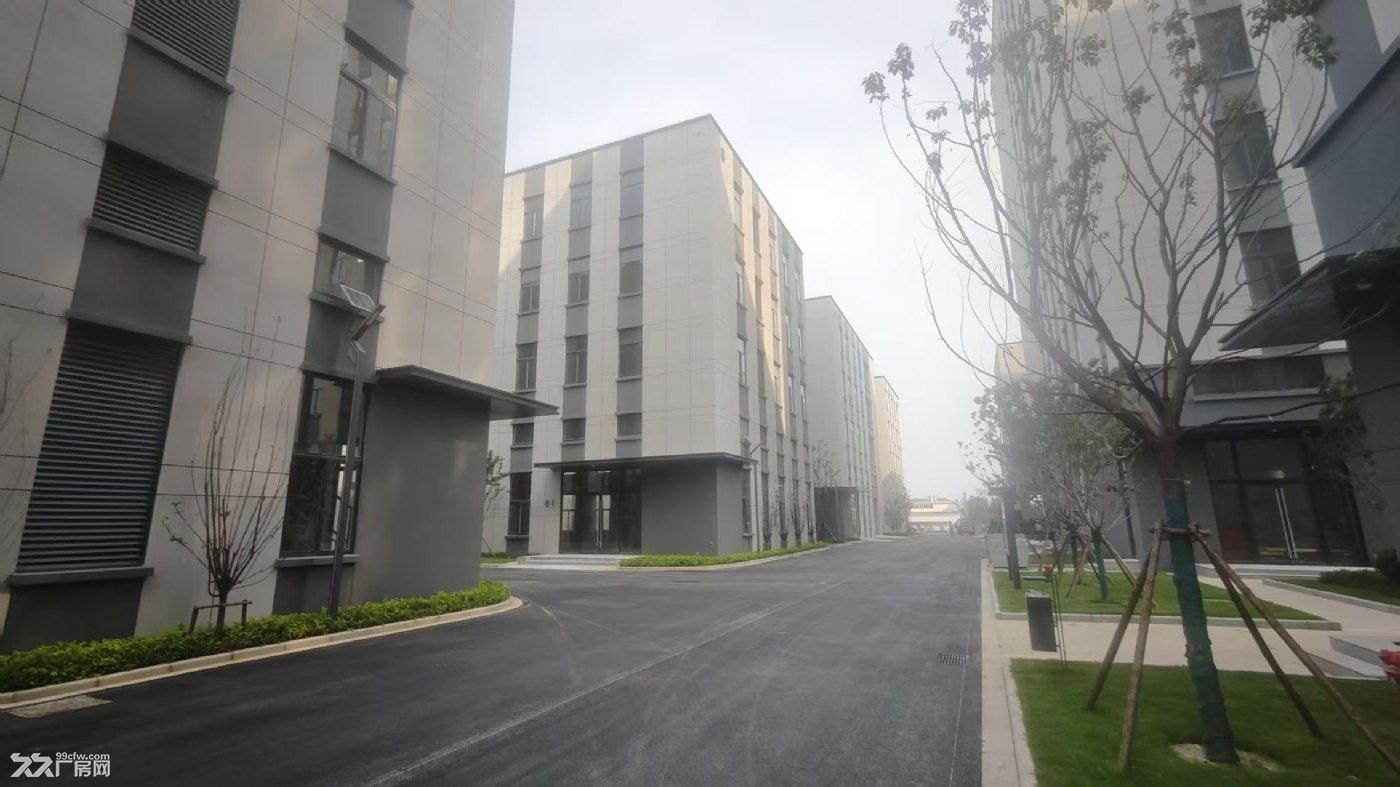 江宁最具性价比厂房现房出售出租,单价3开头,首付2成